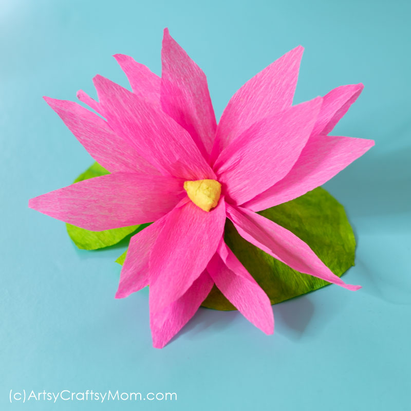 Crepe Paper Lotus Craft 1 3