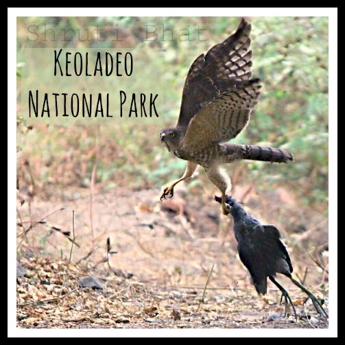 Keoladeo National Park