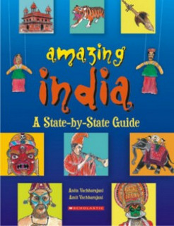 11-india-centric-books_amazing-india