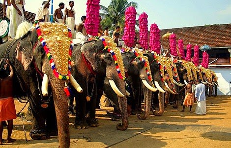 10 Fun Activities to Celebrate Onam with Kids - Decorated Elephants 
