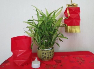Chinese new year crafts