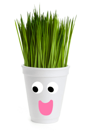Not all Styrofoam is bio-degradable and the rest just ends up in landfills. This Earth Day, make the best out of waste with these recycled Styrofoam crafts.