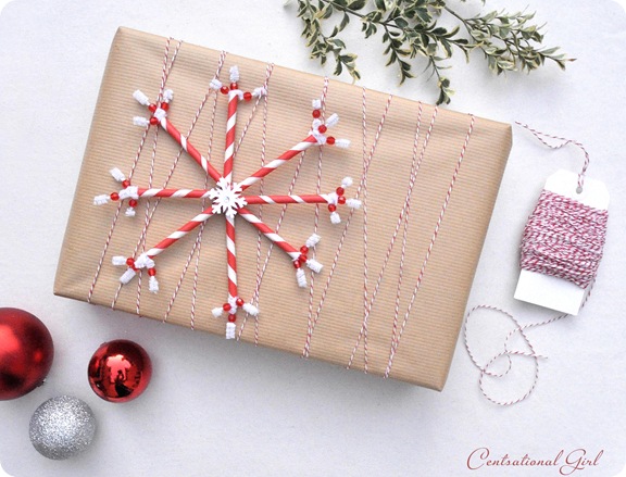 Sometimes all you need to make a gift stand out is a Gorgeous DIY Gift wrapping idea!