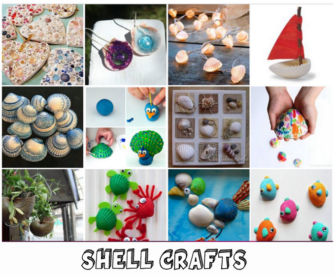 shell craft