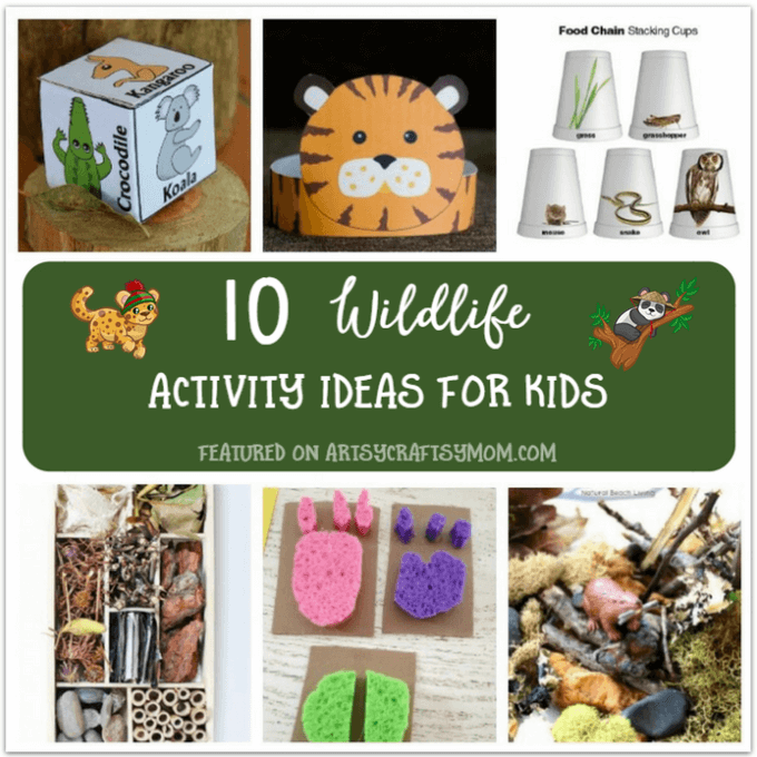 10 Wildlife Theme Activities For Kids To Do At Home