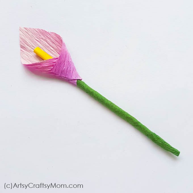Make your own pretty blooms out of crepe paper with this Crepe Paper Calla Lily Flower Craft! Put them in a vase on your desk or make a bouquet to gift!