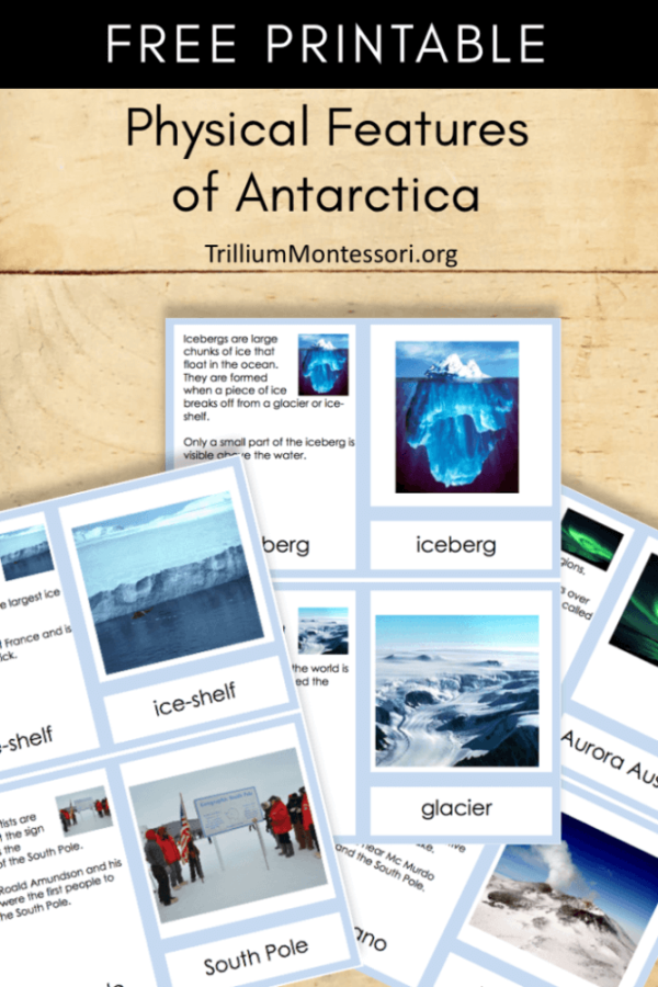 It's Antarctica Day on the 1st of December and we're all set to learn about this continent with some awesome Antarctica Day Activities for Kids!