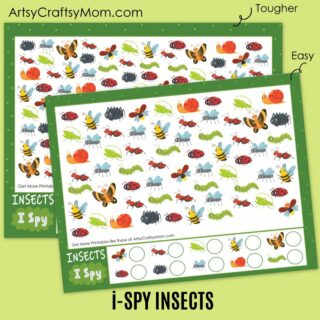 iSpy Insects