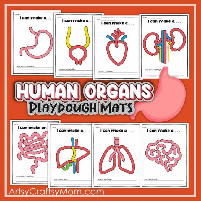 20 Fun and Colorful Printable Playdough Mats for Kids 11 Printable Human Body Play Doh mats