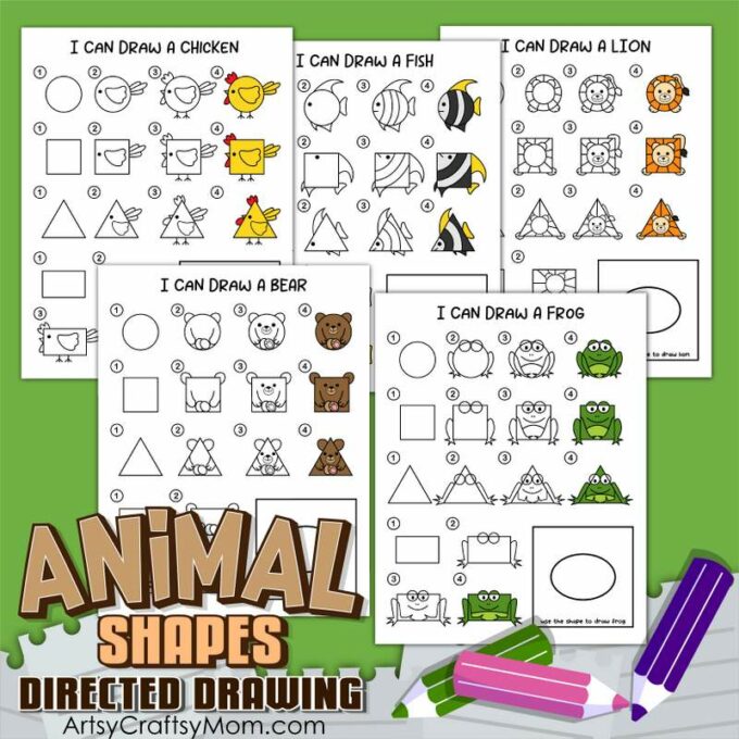 Animals Shapes Directed Drawing
