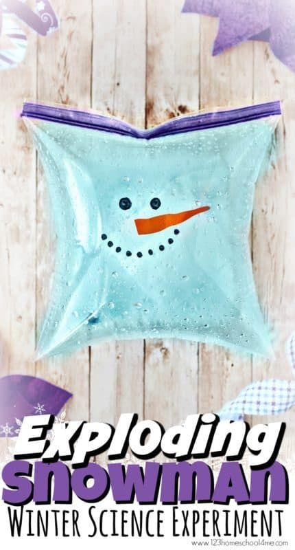 Here are 15 Wonderful Winter STEM Projects for Kids to learn, play & have fun doing! All you need are regular household materials & craft supplies.