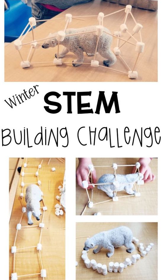 Here are 15 Wonderful Winter STEM Projects for Kids to learn, play & have fun doing! All you need are regular household materials & craft supplies.