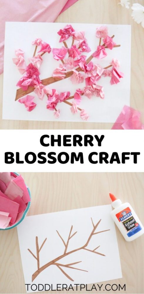These gorgeous Cherry Blossom Crafts are perfect to welcome spring & the ultimate celebration of blooms - the National Cherry Blossom Festival!