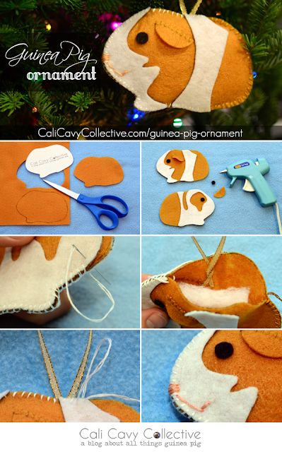 Guinea pigs are adorable - and so are these guinea pig crafts for kids! Whether you have a guinea pig or not, you're sure to enjoy making these!