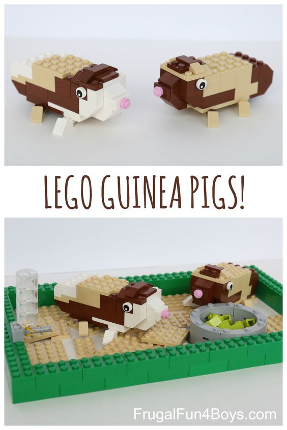 Guinea pigs are adorable - and so are these guinea pig crafts for kids! Whether you have a guinea pig or not, you're sure to enjoy making these!