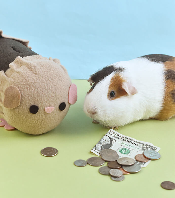 Guinea pigs are adorable - and so are these guinea pig crafts for kids! Whether you have a guinea pig or not, you're sure to enjoy making these!