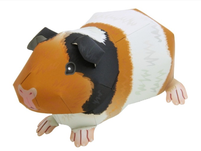 Guinea pigs are adorable - and so are these guinea pig crafts for kids! Whether you have a guinea pig or not, you're sure to enjoy making these!