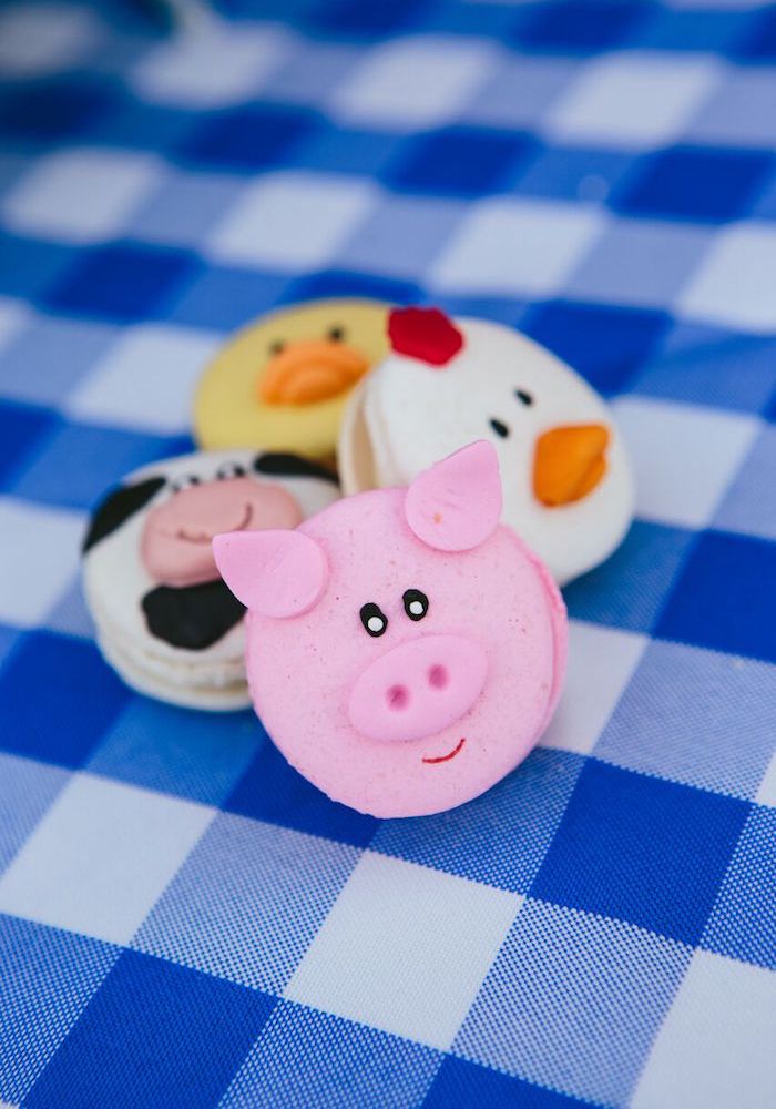 Surprise your little one with a fun-filled farm themed birthday party and watch how the kids soak up all the excitement!