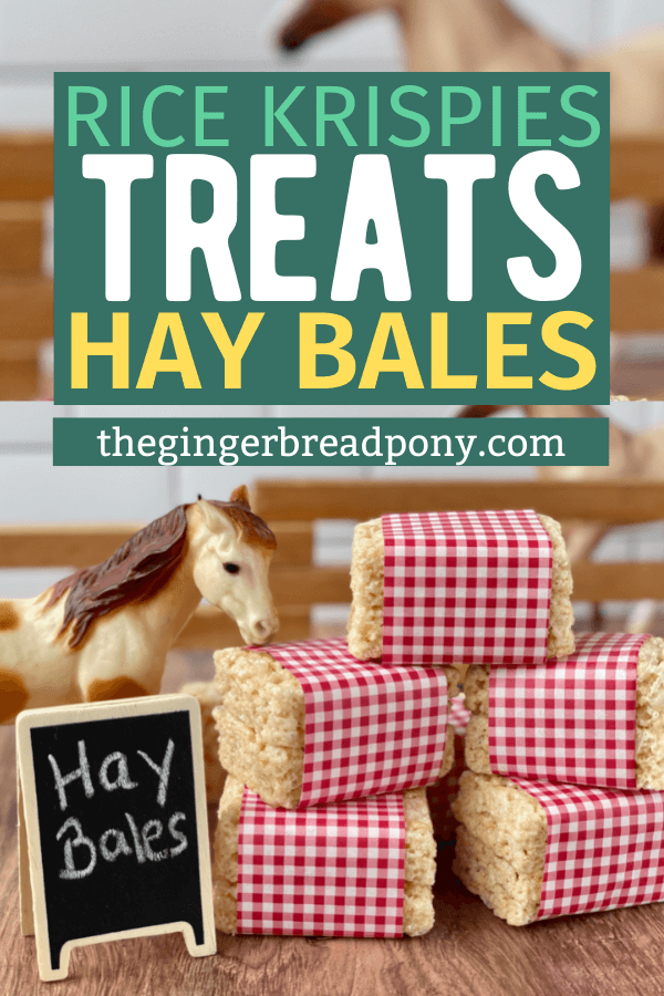 Surprise your little one with a fun-filled farm themed birthday party and watch how the kids soak up all the excitement!
