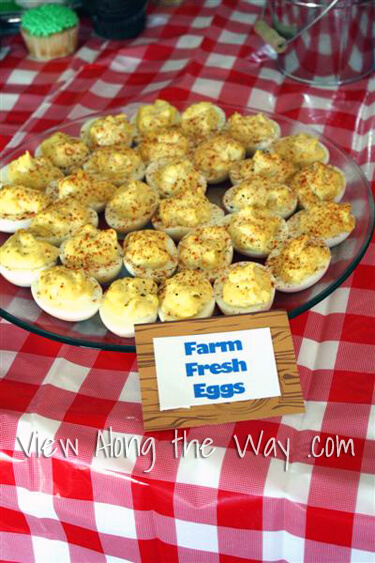 Surprise your little one with a fun-filled farm themed birthday party and watch how the kids soak up all the excitement!