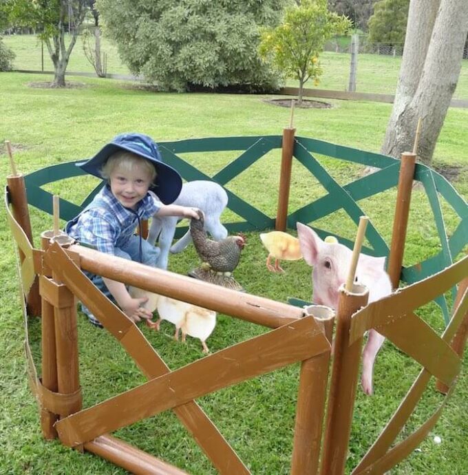 Surprise your little one with a fun-filled farm themed birthday party and watch how the kids soak up all the excitement!