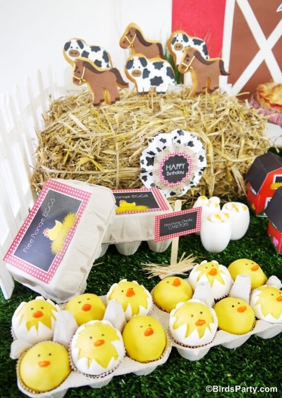 Surprise your little one with a fun-filled farm themed birthday party and watch how the kids soak up all the excitement!