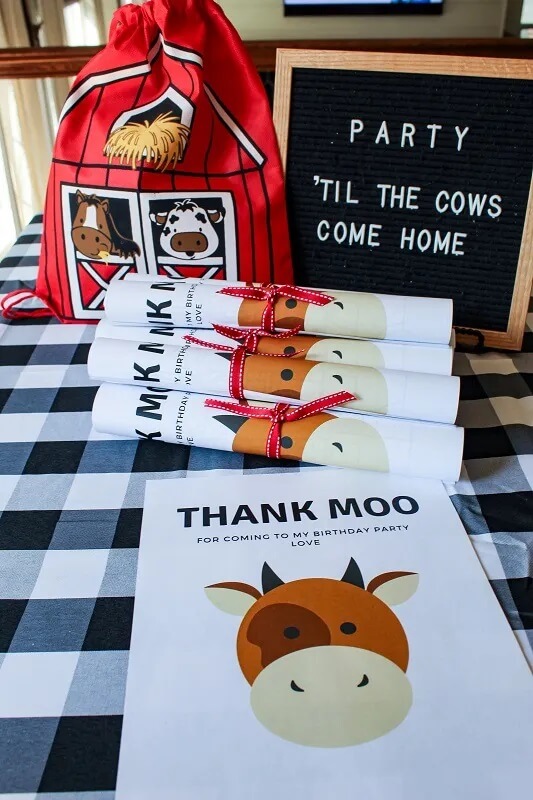 Surprise your little one with a fun-filled farm themed birthday party and watch how the kids soak up all the excitement!