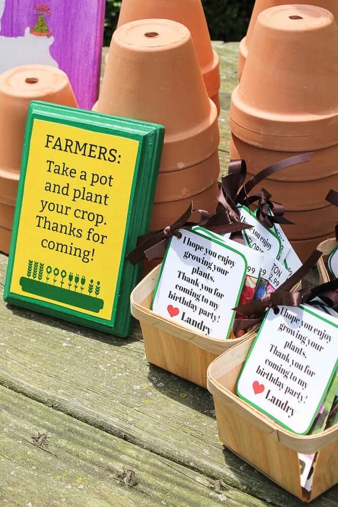 Surprise your little one with a fun-filled farm themed birthday party and watch how the kids soak up all the excitement!