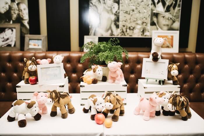 Surprise your little one with a fun-filled farm themed birthday party and watch how the kids soak up all the excitement!