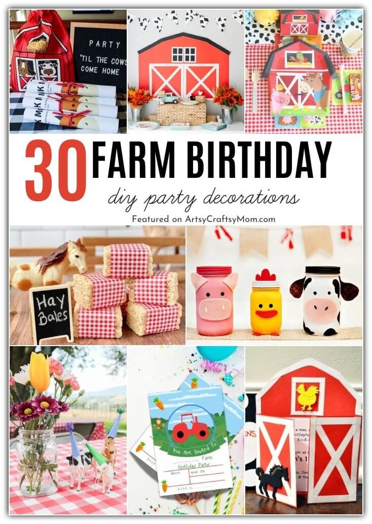 Surprise your little one with a fun-filled farm themed birthday party and watch how the kids soak up all the excitement!