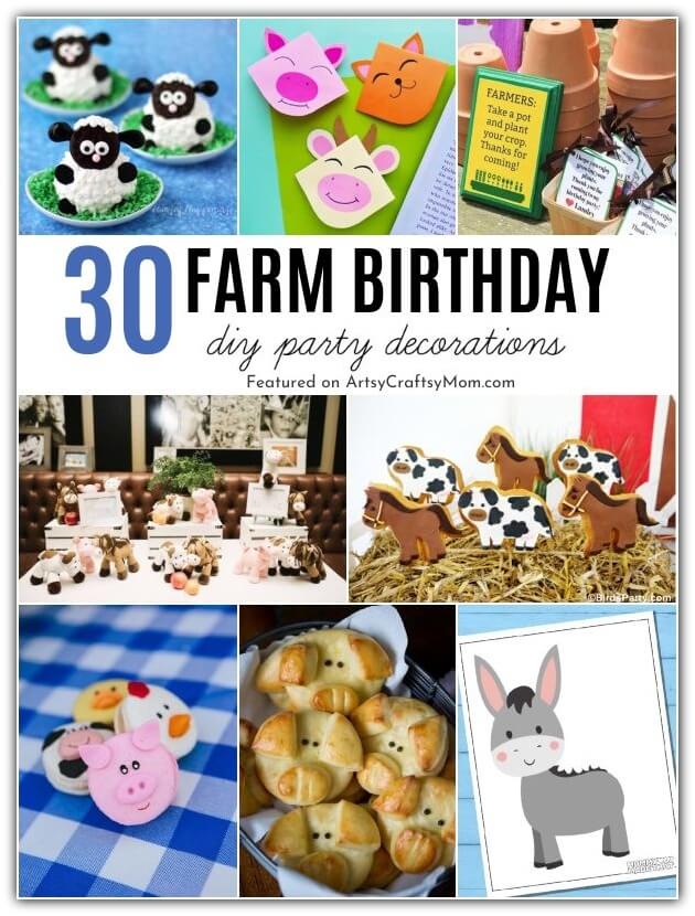 Surprise your little one with a fun-filled farm themed birthday party and watch how the kids soak up all the excitement!